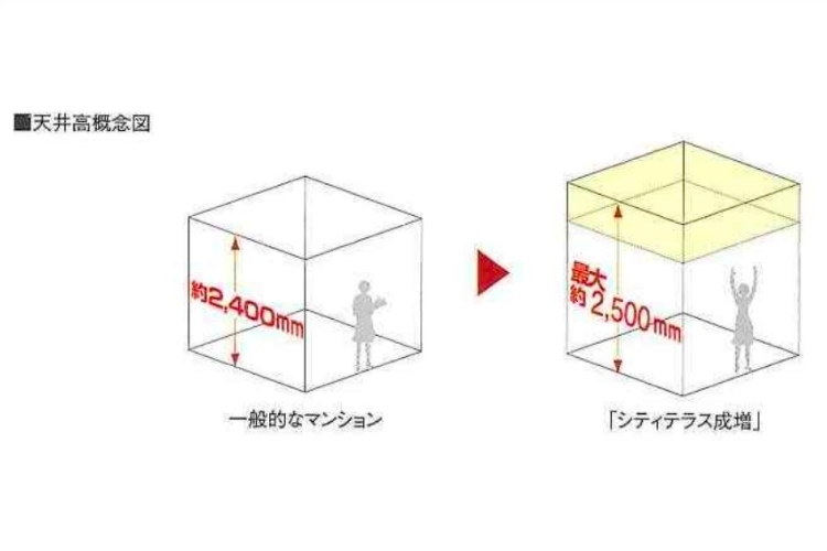 シティテラス成増の天井高概念図