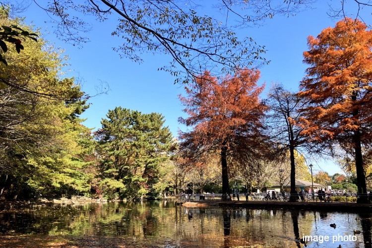 シティテラス成増の公園イメージフォト